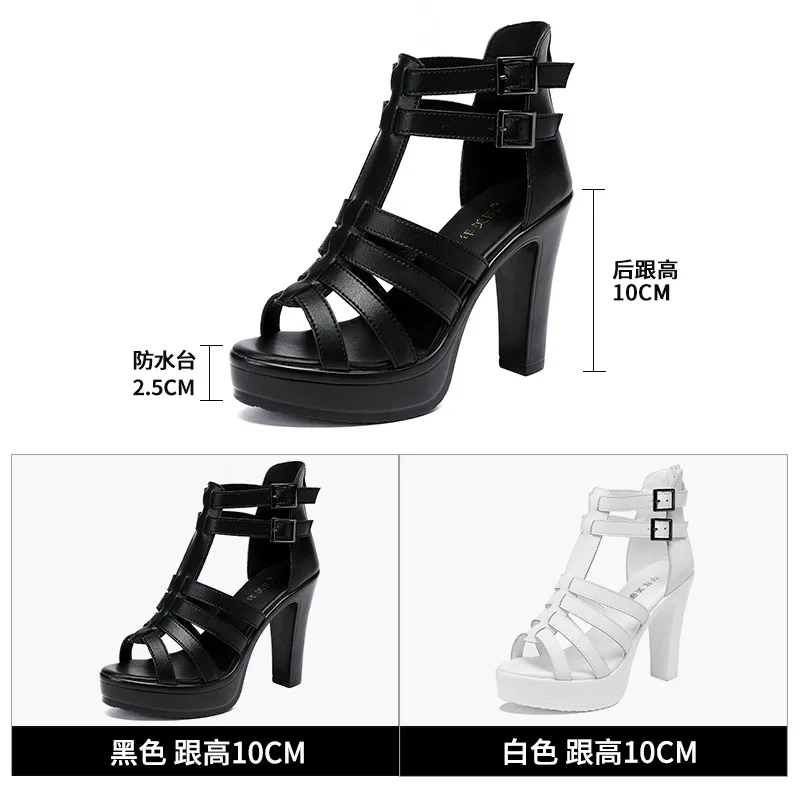 Gladiatore Scarpe da donna per - Women'S Shoes Quality recensione e prezzo